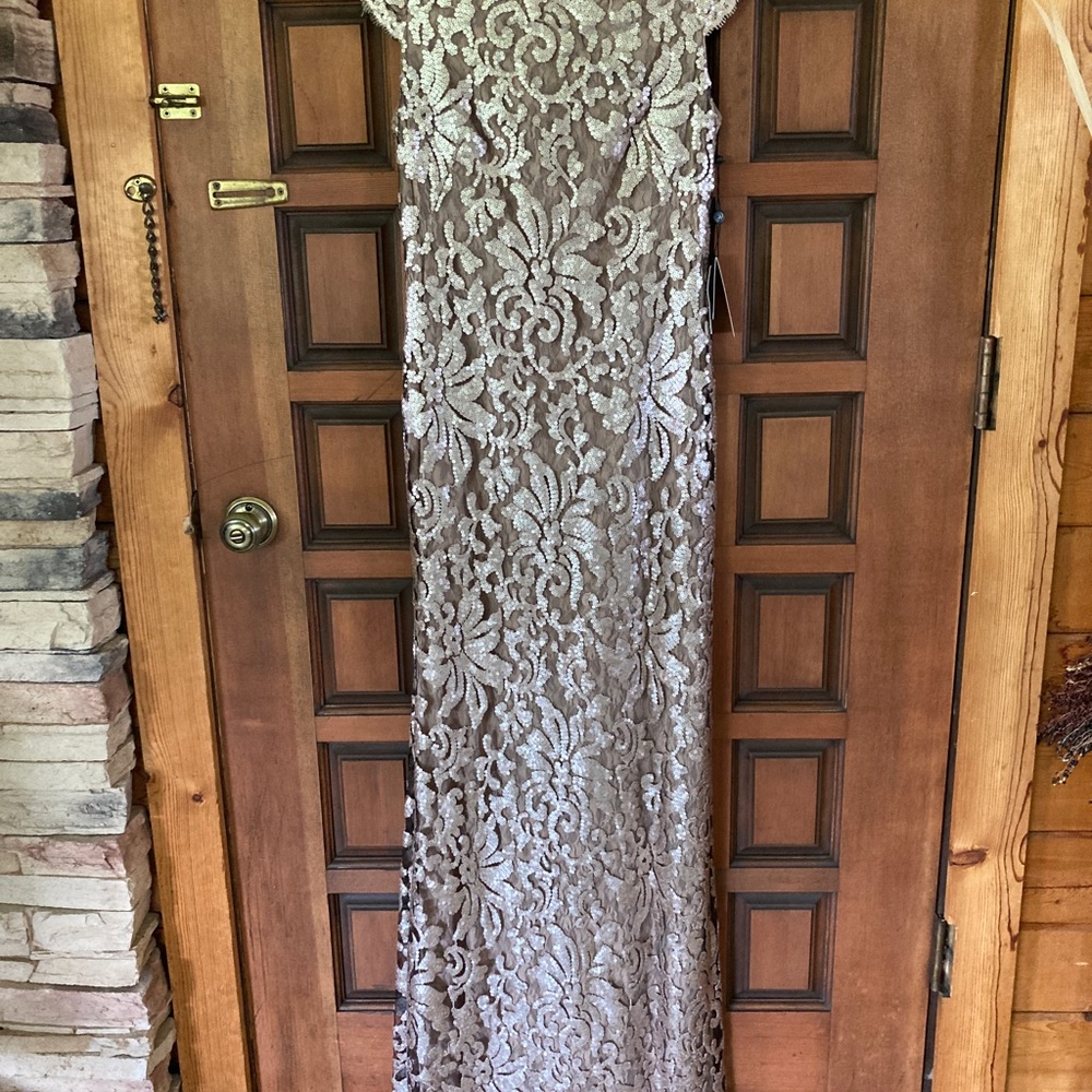 Stunning Adrianna Papell evening gown size 4. - Picture 6 of 8